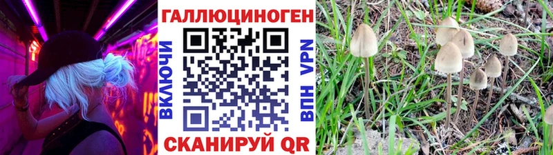 купить наркотики сайты  Устюжна  Галлюциногенные грибы GOLDEN TEACHER 